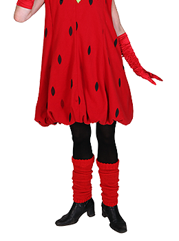 Erdbeere Plüsch Kostüm